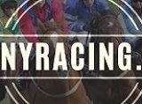 ponyRacing.ie_2